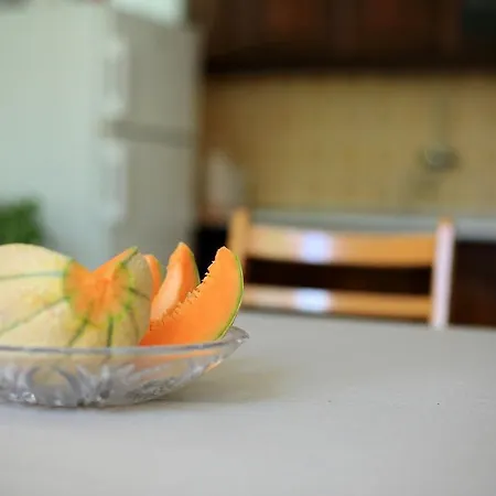 乡村民宿 Barba 比比涅